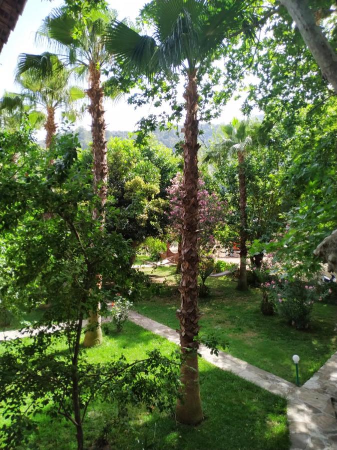 Olympos Yavuz Hotel Cirali Exterior photo